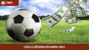 Cách cá độ bóng đá không thua