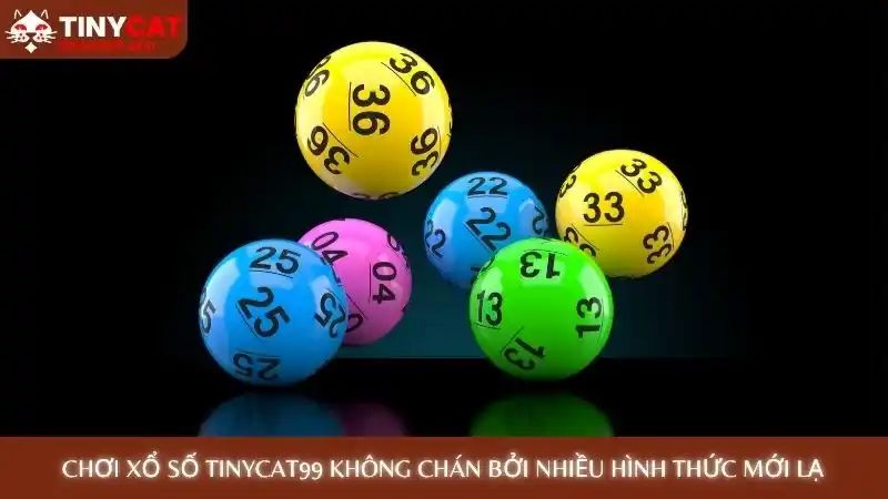 Chơi xổ số Tinycat99 không chán bởi nhiều hình thức mới lạ Chơi xổ số Tinycat99 không chán bởi nhiều hình thức mới lạ