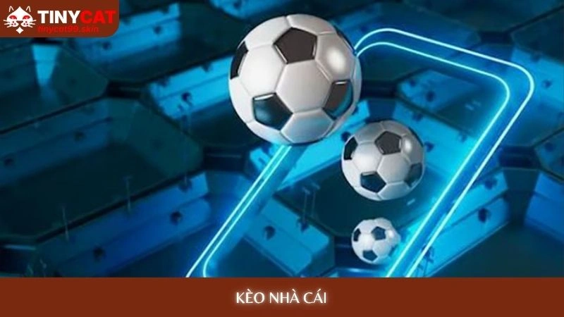 Kèo nhà cái Tinycat99