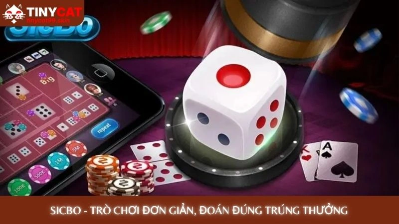 Sicbo Tài Xỉu - Hướng dẫn chơi dễ thắng cho người mới 2 Sicbo - Trò chơi đơn giản, đoán đúng trúng thưởng