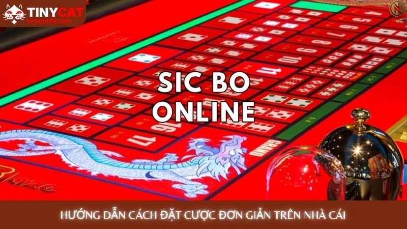 Sicbo Tài Xỉu - Hướng dẫn chơi dễ thắng cho người mới 4 Hướng dẫn cách đặt cược đơn giản trên nhà cái