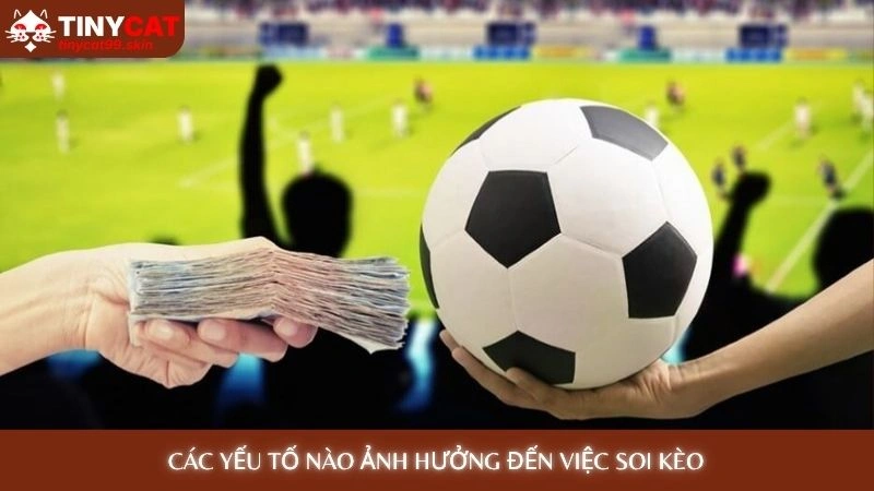 Soi kèo bóng đá - Nhận định chuyên gia chính xác hôm nay 4 Các yếu tố nào ảnh hưởng đến việc soi kèo
