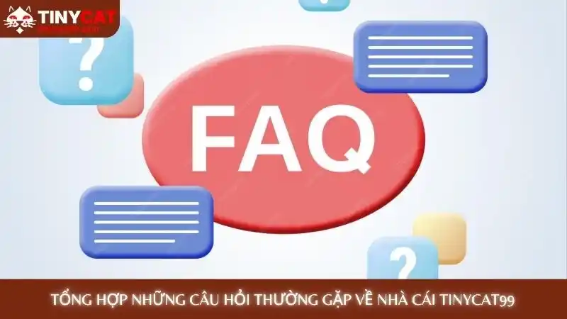 Tổng hợp những câu hỏi thường gặp về nhà cái Tinycat99 Tổng hợp những câu hỏi thường gặp về nhà cái Tinycat99